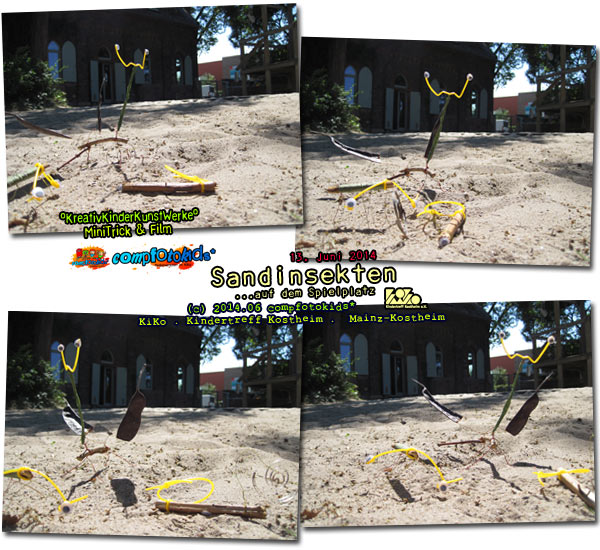 Sandinsekten ...auf dem Spielplatz 