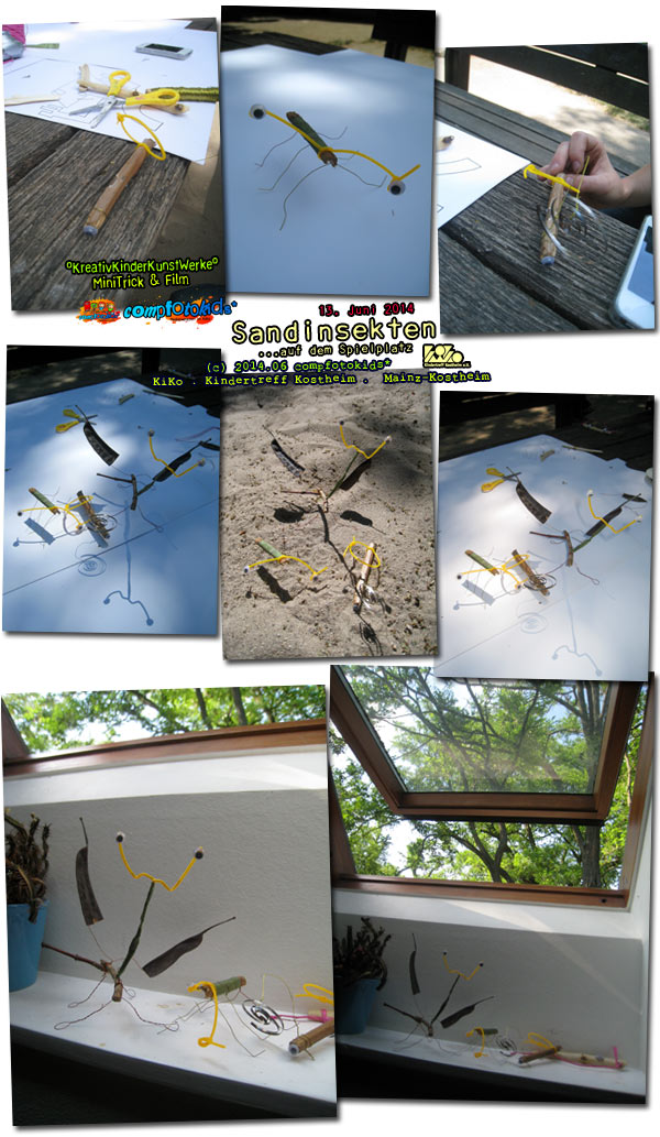 Sandinsekten ...auf dem Spielplatz 