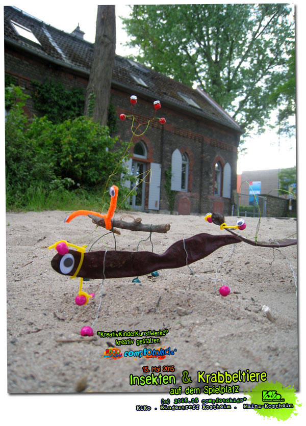 Insekten & Krabbeltiere auf dem Spielplatz 